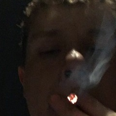 zoogie