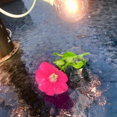 Liquid Sunshine (PROD A COVA)