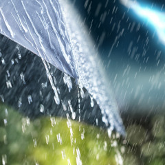 Rain + Thunder (75 Minutes)