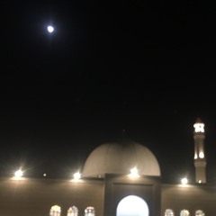 بدر التركي