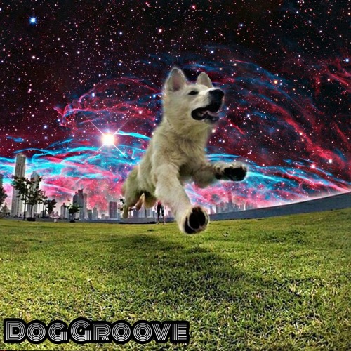 Dog Groove