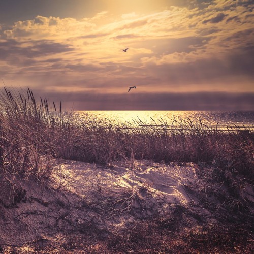 Promise Me - Nurko & Last Heroes ft Jessie Chambers | Free Musics