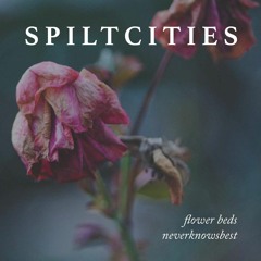 Spilt Cities- Flower Beds