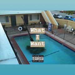 What I Want - Big Sleazy X K$OOKS X Coux X Yung BoneYard (Prod. K$OOKS X Yung BoneYard)