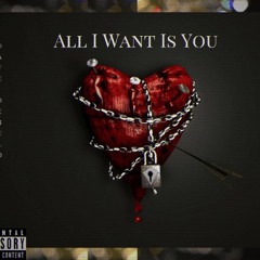 All I Want Is You ft HNB Mekka