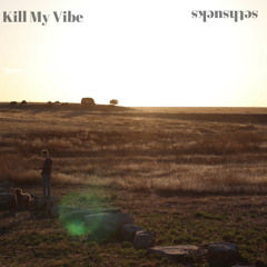 Kill My Vibe (The PropheC - Vibe: sethsucks remix)