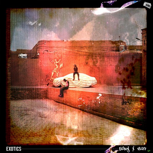 Calboy x Valee - Exotics