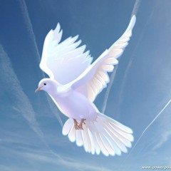 JERBAL IN- Rixanti Ft. Joshlynn Lat.