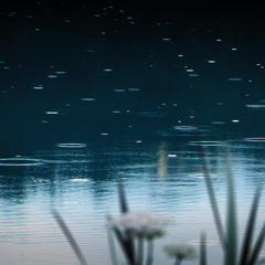 Rain on Pond White Noise (75 Minutes)