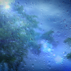 Rain Sleep Sounds White Noise (75 Minutes)