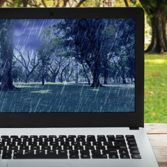 Rain Study Sounds (75 Minutes)