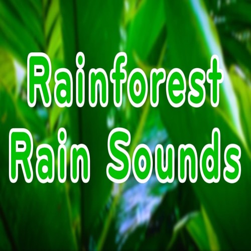 Stream Rainforest Rain Sounds for Relaxation (75 Minutes) by Relaxing White  Noise | Listen online for free on SoundCloud