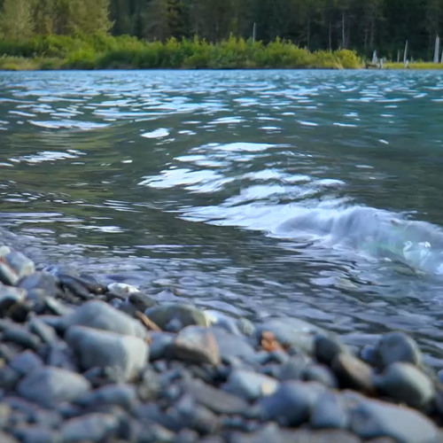 River White Noise For Sleep, Studying & Relaxation (75 Minutes)