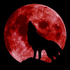 Full Moon Mix Chapter 2: Retrøgrade