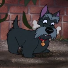 Cuddling Goose on a Sunday morning.