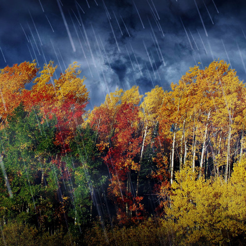 Sleep To Rain & Wind White Noise (75 Minutes)