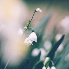 Imperfect Nature