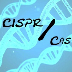 Ich bin der Anticrisp (CRISPR - Cas9_genetic bunglingNOBELprizeCUT)