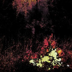 Where The Sun? [Виктор Цой - Кончится лето]