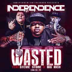 Wasted Ft Stevie Stone & Big Rich