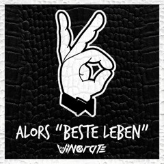 Alors "Beste Leben" - Bonez MC & Raf Camora vs Stromae & Dubdogz [Vinorate Mashup Remix]