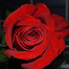 "Shook Ones" Freestyle