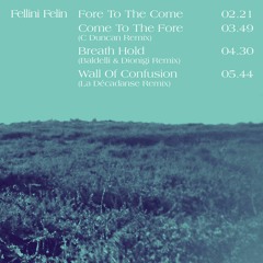 Fellini Félin - Come To The Fore (C Duncan Remix)