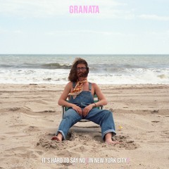 It's Hard to Say No (In New York City) snippet