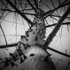 Thorns