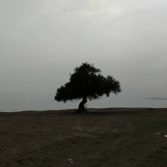 Tears In The Rain