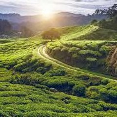 The Path to Allah- Abu Muhammad al-Maghribi