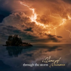Through the Storm