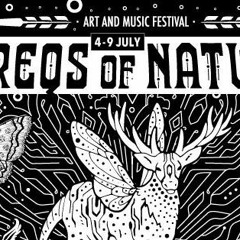 Bubbleguns live @ Freqs of Nature 2018