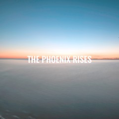 The Phoenix Rises