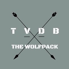 TVDB - The Wolfpack (Original mix)