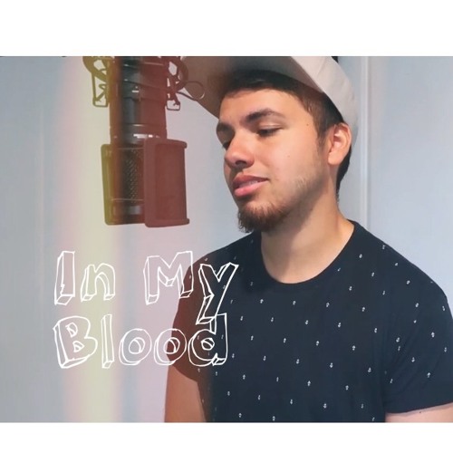 In My Blood - Shawn Mendes