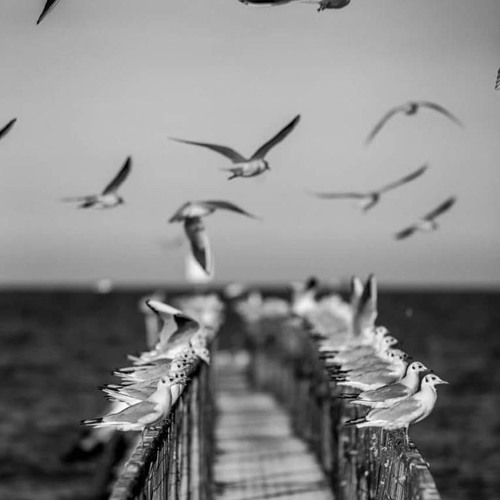 Comes And Go