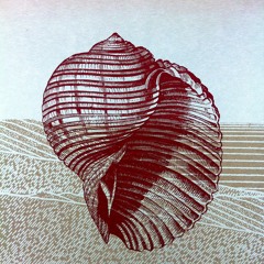 Vardar River Song - Shalabi & Christoff