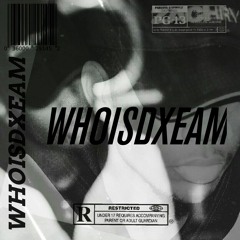 ENDISNIGH (PROD. DXEAM)