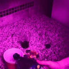 Rec0gniti0n- The Plug