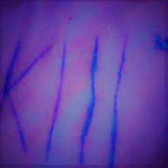 XXXTENTACION - GNARLY BASTARD (Prod. The Virus And The Antidote) $lowed & Chopped