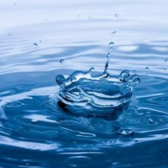 Water- Carolina Montana x Omega flamez