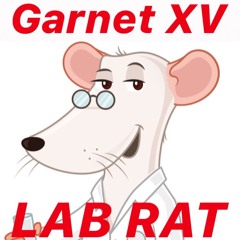 Lab Rat (Prod By Airavata & Manny Dreads)