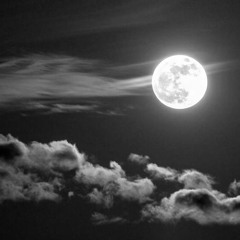 Moonlight - Ariana Grande (cover by bella)