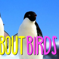 AUSTRALIAN SONG ABOUT BIRDS