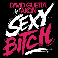 David Guetta & Akon - Sexy Bitch (PXCHY! & MATTY SKOZZ BOOTLEG)