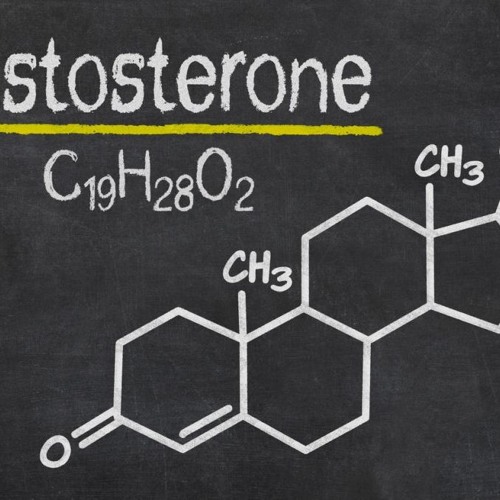 My First TESTosterones [150bpm - 170bpm]
