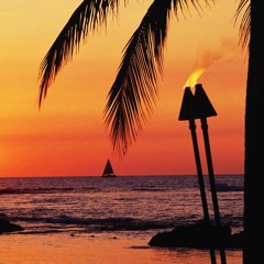 Summervibes -175er
