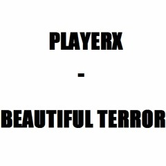 PlayerX - Beatiful Terror