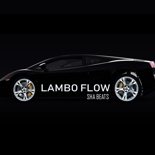 LAMBO FLOW  🚗
